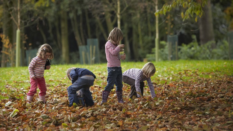 Four children in jeans and long sleeved tops searching for conkers in fallen autumn leaves on a lawn